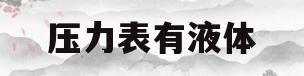 压力表有液体(压力表液体变浑浊的原因)