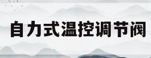 自力式温控调节阀(自力式温控调节阀工作原理)