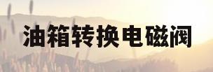油箱转换电磁阀(油箱转换电磁阀故障)