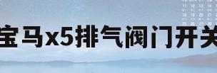 宝马x5排气阀门开关(13款宝马x5排气阀门开关)