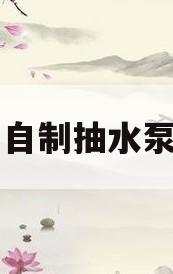 自制抽水泵(自制抽水泵教程)