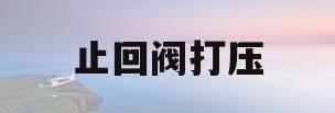 止回阀打压(止回阀打压标准)