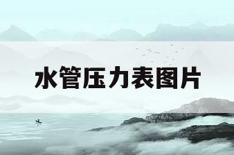 水管压力表图片(水管压力表规格及型号)