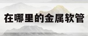 在哪里的金属软管(在哪里的金属软管比较好)
