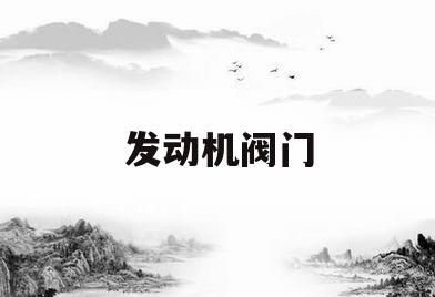 发动机阀门(发动机阀门间隙)