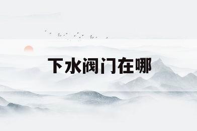下水阀门在哪(下水阀门在哪买)