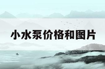 小水泵价格和图片(小水泵价格和图片大全)