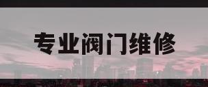 专业阀门维修(专业阀门维修企业)