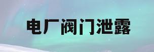 电厂阀门泄露(阀门泄露等级和泄露量对照表)