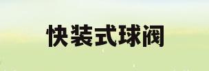 快装式球阀(快接球阀图解)