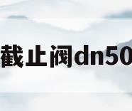截止阀dn50(截止阀DN50J41H900)