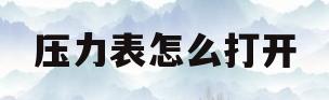 压力表怎么打开(压力表怎么打开使用)