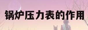 锅炉压力表的作用(锅炉压力表压力怎么读)