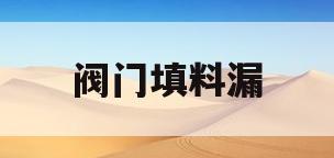 阀门填料漏(阀门填料漏水)