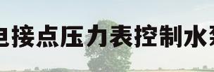 电接点压力表控制水泵(电接点压力表控制水泵接线图)