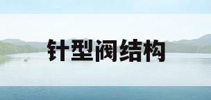 针型阀结构(针型阀结构解说图)