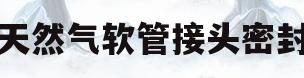 天然气软管接头密封(天然气软管接头密封圈安装)