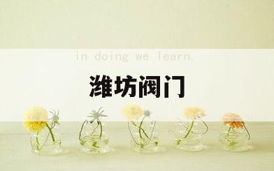 潍坊阀门(潍坊阀门生产厂家)