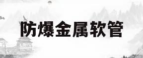 防爆金属软管(防爆金属软管规格型号)