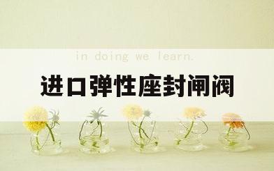 进口弹性座封闸阀(进口弹性座封闸阀价格)