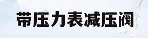 带压力表减压阀(带压力表减压阀如何调整压力)