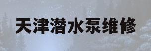 天津潜水泵维修(天津市潜水泵厂官网)