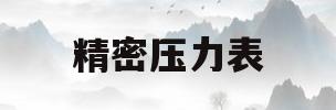 精密压力表(04级精密压力表)