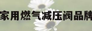 家用燃气减压阀品牌(家用燃气减压阀什么牌子好)