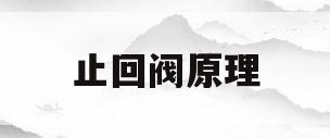 止回阀原理(立式止回阀原理)