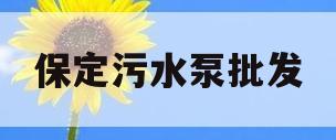 保定污水泵批发(保定污水泵批发市场地址)