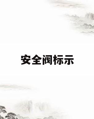 安全阀标示(安全阀上面英文都表示什么)