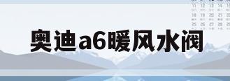 奥迪a6暖风水阀(奥迪a6暖风水阀在哪里)