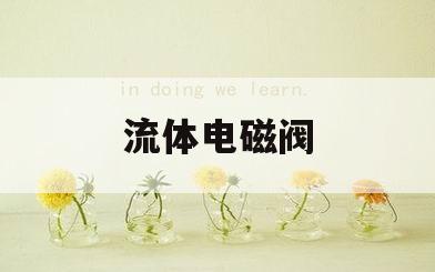 流体电磁阀(流体电磁阀品牌排名)