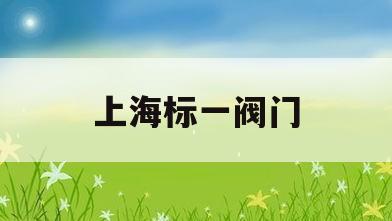 上海标一阀门(上海标一阀门商标图片)