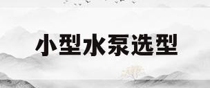 小型水泵选型(小型水泵选型方法)