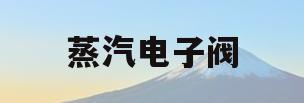 蒸汽电子阀(蒸汽电磁阀如何调试)
