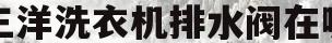 三洋洗衣机排水阀在哪(三洋洗衣机排水阀工作原理)