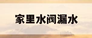 家里水阀漏水(家里水阀漏水怎么修理)