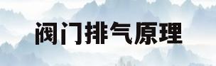 阀门排气原理(快排气阀工作原理)