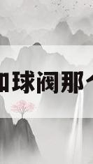 截止阀和球阀那个寿命长(截止阀和球阀的区别及各自的优点)