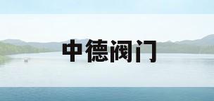 中德阀门(中德阀门销售额)