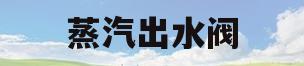 蒸汽出水阀(蒸汽出水阀内部结构)
