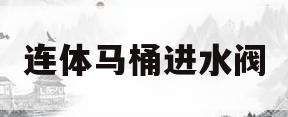 连体马桶进水阀(连体马桶进水阀怎么更换图解)