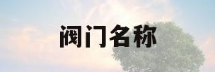 阀门名称(阀门名称及类型代号)