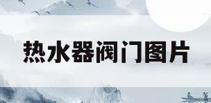 热水器阀门图片(电热水器冷热水阀开关)