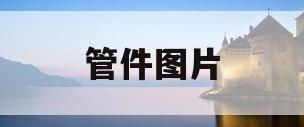 管件图片(y型三通管件图片)