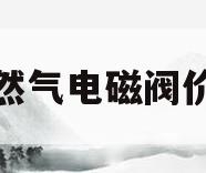 天然气电磁阀价格(天然气电磁阀在哪儿)