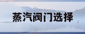 蒸汽阀门选择(蒸汽阀门用什么阀门)