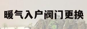 暖气入户阀门更换(暖气入户阀门更换方法)