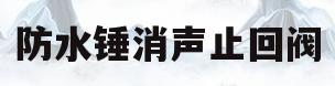 防水锤消声止回阀(防水锤消声止回阀怎么调)